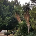 Апартаменты Nicoletta 1 Costa Blanca