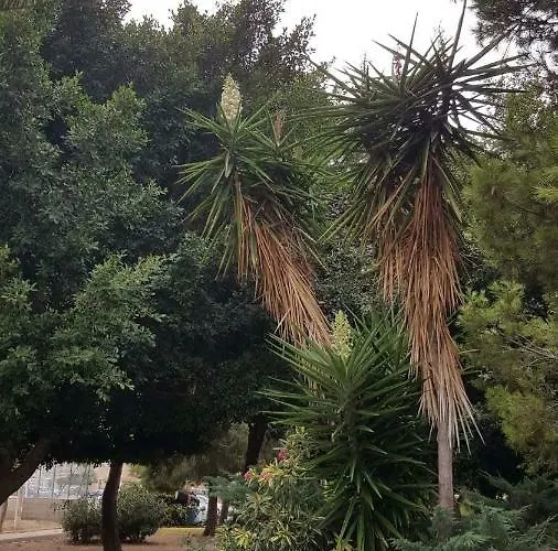 Apartman Nicoletta 1 Costa Blanca